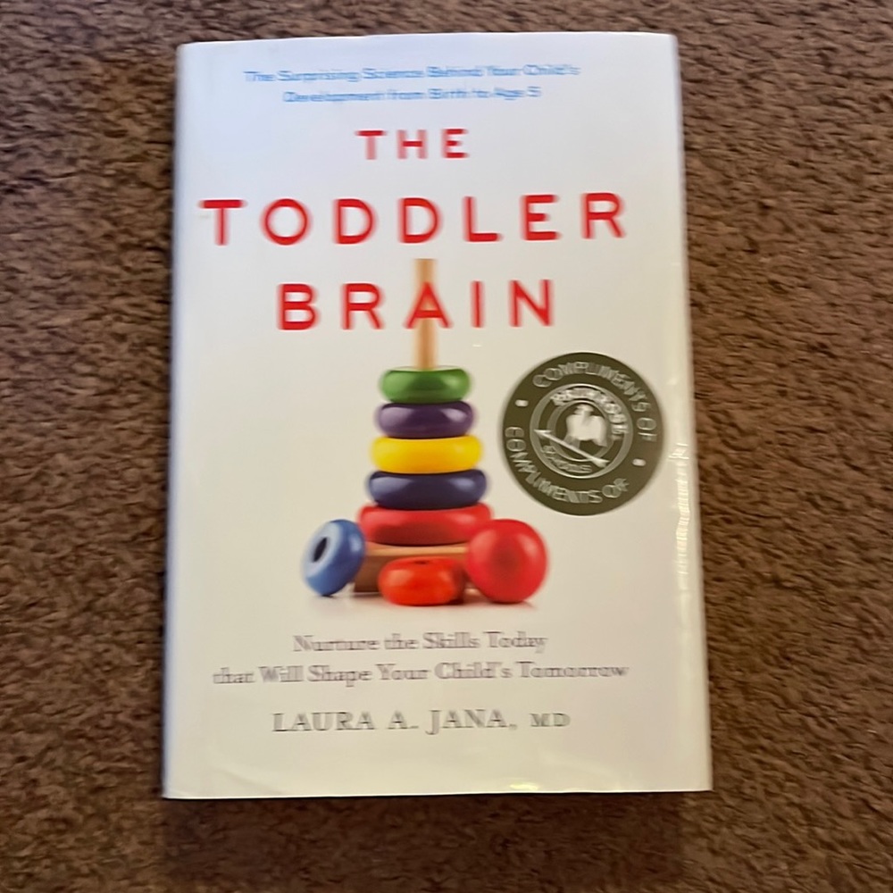 The toddler brain book